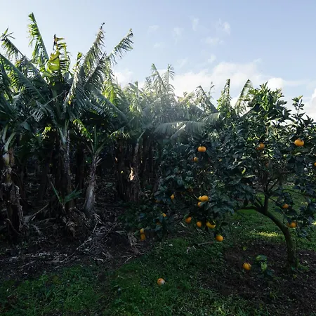 בית נופש Quinta Do Ferreiro *