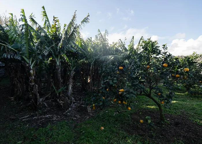 Holiday home Quinta Do Ferreiro *