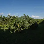 Quinta Do Ferreiro