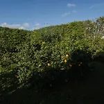 بيت للعطل Quinta Do Ferreiro *