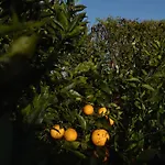 Quinta Do Ferreiro