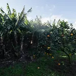 بيت للعطل Quinta Do Ferreiro *