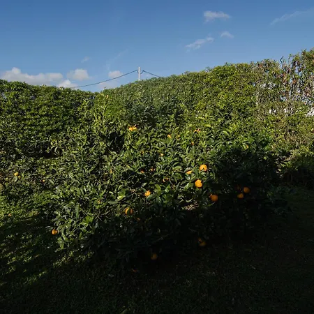 بيت للعطل Quinta Do Ferreiro *
