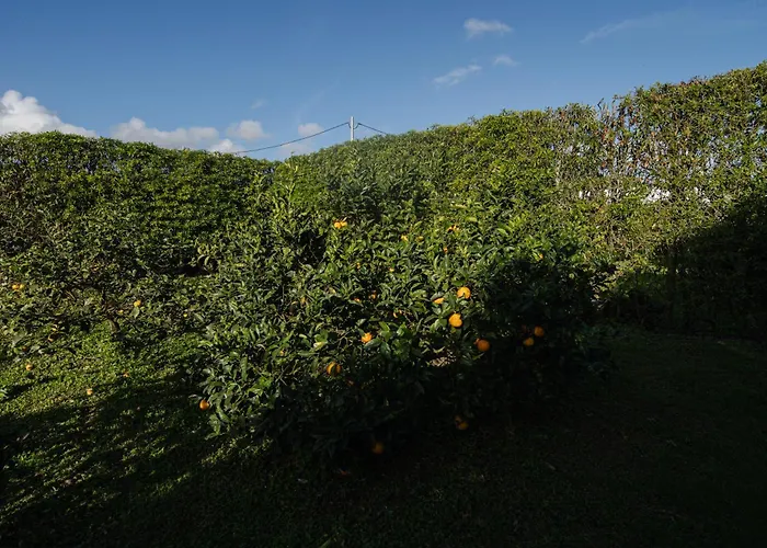 Casa de Férias Quinta Do Ferreiro *