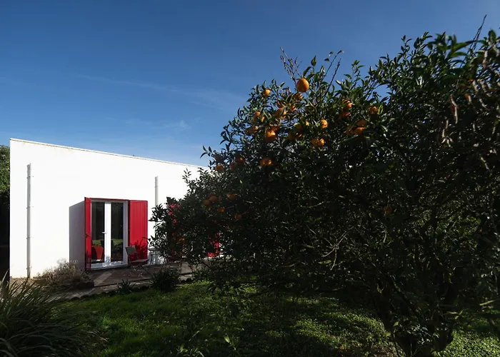 Casa de Férias Quinta Do Ferreiro